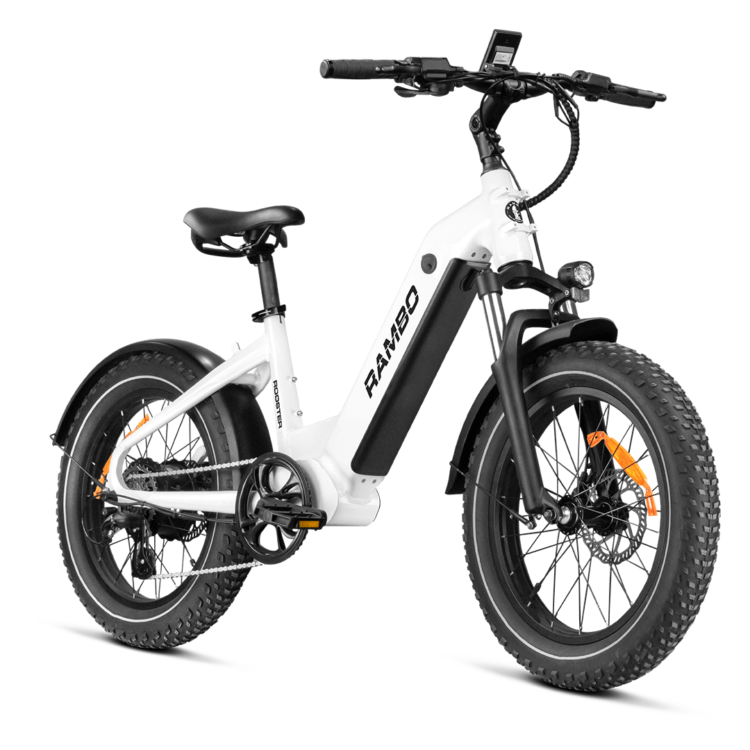 An overview shot of the entire Rooster electric bicycle.