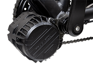 500W MID-DRIVE TRUCKRUN MOTOR