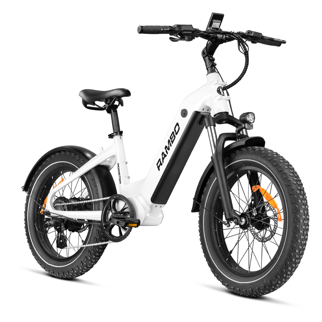 An overview shot of the entire Rooster electric bicycle.